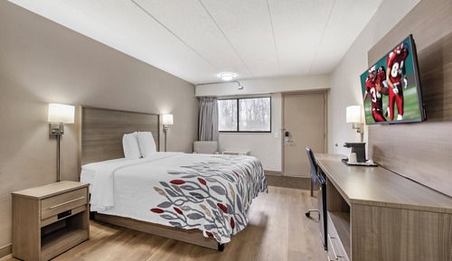 Superior Room, 1 Queen Bed, Accessible, Non Smoking (Roll-In Shower)