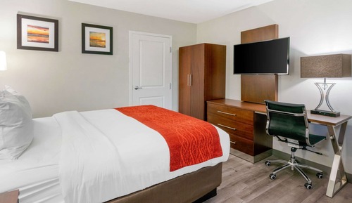 Standard Room, 1 Queen Bed, Non Smoking