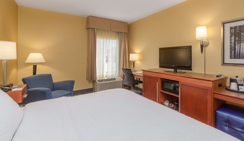 Room, 1 King Bed, Accessible, Non Smoking