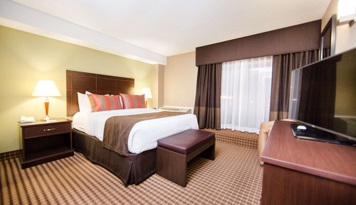 Standard Room, 1 King Bed with Sofa bed, Non Smoking, Refrigerator (with Sofabed)