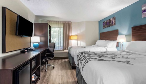 Standard Room, 2 Double Beds, Non Smoking