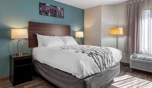 Room, 1 Queen Bed, Accessible, Non Smoking
