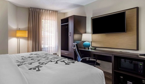 Room, 1 King Bed, Accessible, Non Smoking