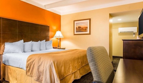 Basic Single Room