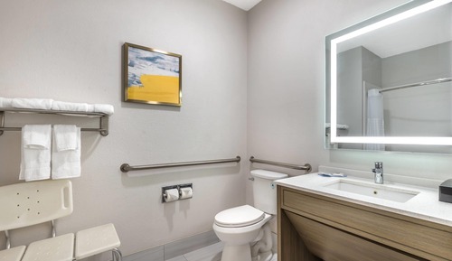 Room, 1 King Bed, Accessible, Non Smoking