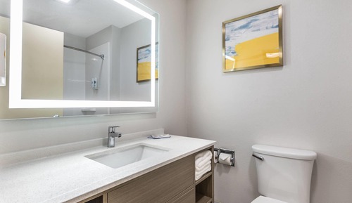 Suite, 1 King Bed with Sofa bed, Non Smoking