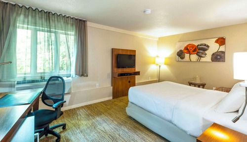Standard Room, 1 King Bed, Non Smoking