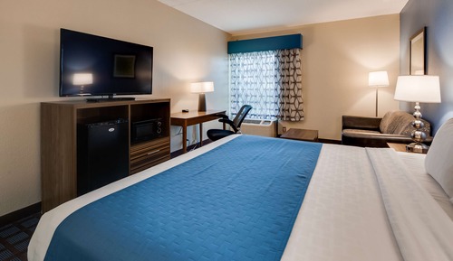 Standard Room, 1 King Bed, Non Smoking, Refrigerator & Microwave (with Single Sofabed)