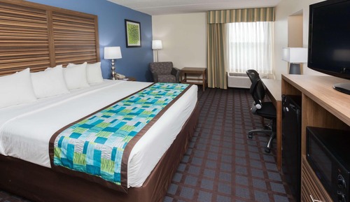 Suite, 1 King Bed, Non Smoking, Jetted Tub (with Sofabed)