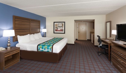 Standard Room, 1 King Bed, Non Smoking, Refrigerator & Microwave (Larger Room;with Sofabed)