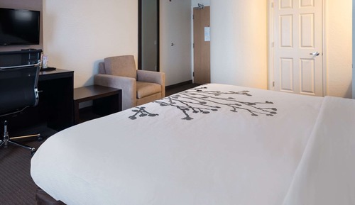 Room, 1 King Bed, Non Smoking