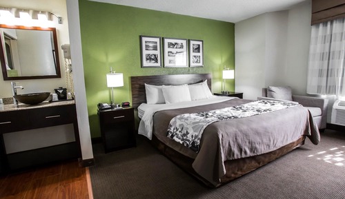 Standard Room, 1 King Bed, Non Smoking