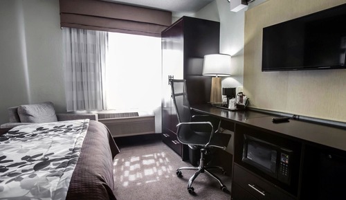 Standard Room, 1 Queen Bed, Accessible, Non Smoking