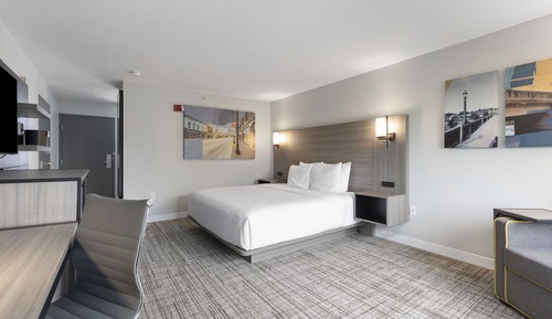 Standard Room, 1 King Bed, Accessible, Bathtub (with Single Sofabed)