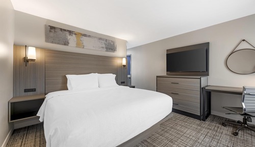 Suite, 1 King Bed, Non Smoking (with Single Sofabed)