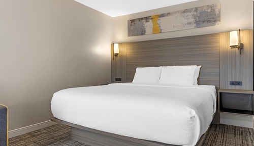 Standard Room, 1 King Bed, Non Smoking, Balcony (with Single Sofabed)