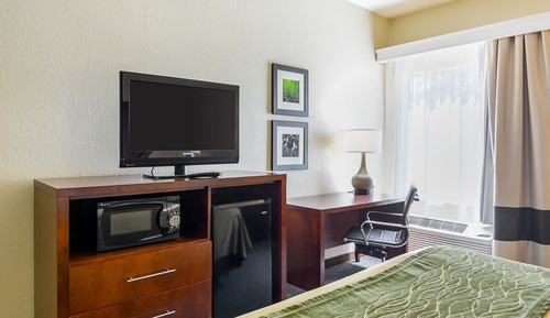 Suite, 1 King Bed with Sofa bed, Accessible, Non Smoking