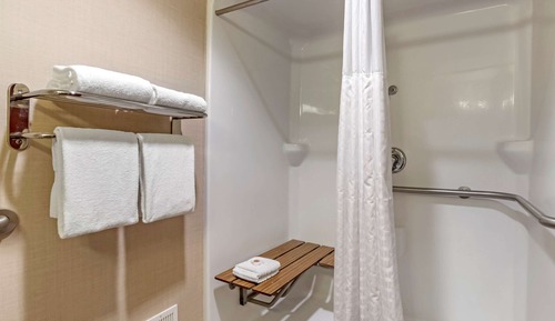 Suite, 1 King Bed with Sofa bed, Accessible, Non Smoking (Roll-In Shower)
