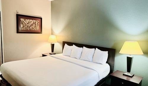 Room, 1 King Bed, Non Smoking