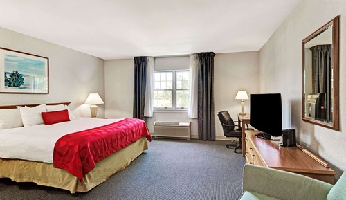 Room, 1 King Bed, Non Smoking