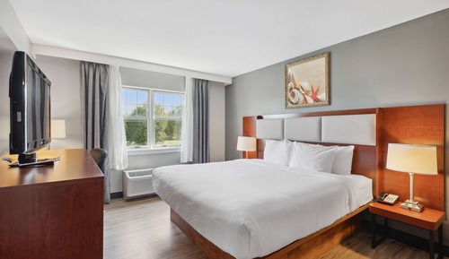 Business Room, 1 King Bed, Non Smoking