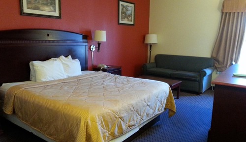 Standard Room, 1 King Bed, Non Smoking