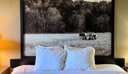 Standard Room, 1 King Bed