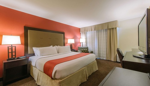 Room, 1 King Bed, Accessible (Mobility & Hearing, Roll-In Shower)