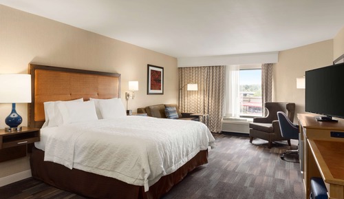 Suite, 1 King Bed, Non Smoking (Mini)