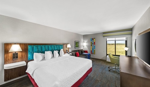 Room, 1 King Bed with Sofa bed