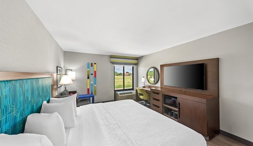 Room, 1 King Bed, Roll-in Shower, Non Smoking