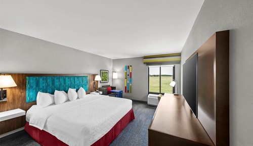 Room, 1 King Bed, Accessible (Mobility & Hearing, 3x3 Shower)