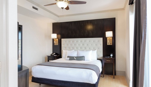 Room, 1 King Bed, Non Smoking, City View (Mobility Accessible, Tub)
