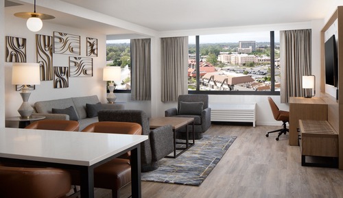 Room, 1 King Bed with Sofa bed