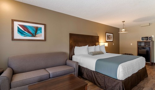Standard Room, 1 King Bed, Non Smoking