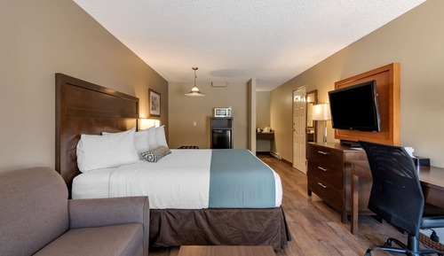 Standard Room, 1 Queen Bed, Non Smoking
