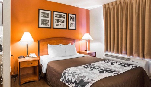 Standard Room, 1 Queen Bed, Non Smoking