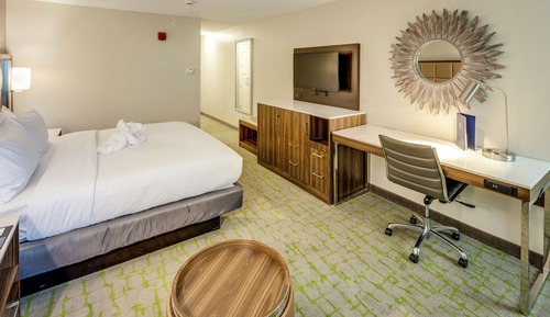 Room, 1 King Bed, Accessible (Roll-In Shower)