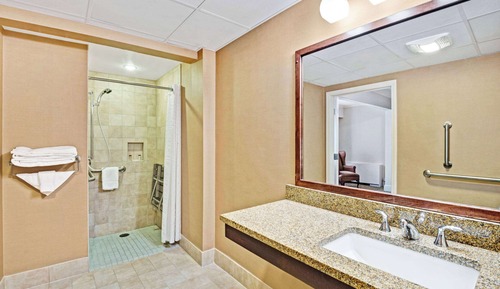 Suite, 1 King Bed, Accessible, Non Smoking (One-Bedroom)