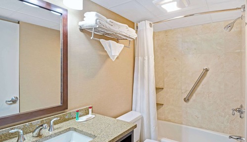 Room, 1 King Bed, Non Smoking