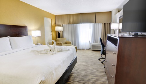 Suite, 1 King Bed