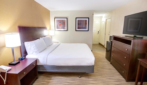 Standard Room, 1 King Bed, Accessible (Transfer Shower)