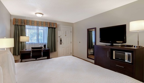 Room, 1 King Bed, Non Smoking