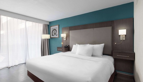 Room, 1 King Bed, Accessible, Non Smoking (Roll-In Shower)