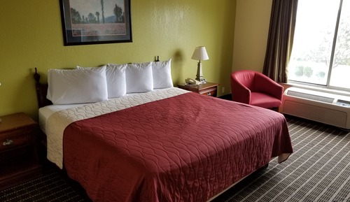 Room, 1 King Bed, Smoking