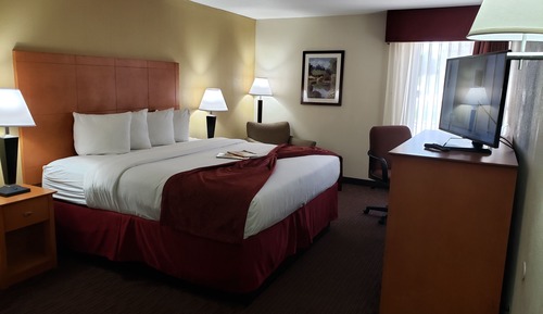 Business Single Room, 1 King Bed
