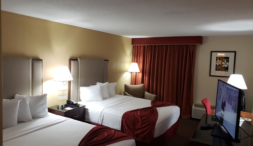 Business Single Room, 2 Queen Beds