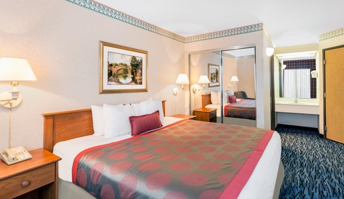 Room, 1 King Bed, Non Smoking