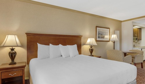 Standard Studio, 1 King Bed, Non Smoking, Kitchenette