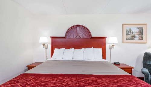Standard Room, 1 King Bed